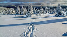 Nový rok je ideální p�íle�itostí zahájit sezónu aktivn�. A� u� hledáte...