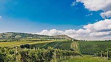 ilustra�ní snímek