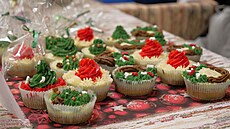 Dobro�inný adventní jarmark ve ��á�e nad Sázavou se odehrál pod taktovkou...