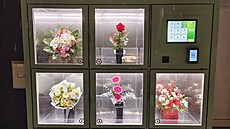 Automat na kv�tiny je v provozu 24 hodin denn�, den co den. Vhodnou kv�tinu lze...