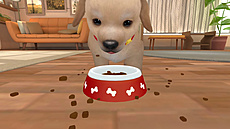 NEX Playground Interactive Gaming System