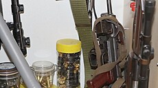 Pi domovnch prohldkch policist nalezli tak nkolik dlouhch a krtkch stelnch zbran rznch typ a r (vetn samopal i ton puky).