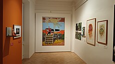 Nejvýznamn�j�í sbírkové p�edm�ty, které se za posledních p�t let poda�ilo...