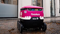 Roboti vyrá�í do Karlína.