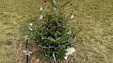 Váno�ní strom uprost�ed kruhového objezdu u Nákladového nádra�í �i�kov. Takhle...