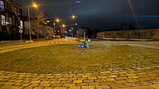 Váno�ní strom uprost�ed kruhového objezdu u Nákladového nádra�í �i�kov. Takhle...