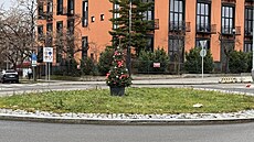 Váno�ní strom uprost�ed kruhového objezdu u Nákladového nádra�í �i�kov. Tento...