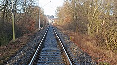 Rychlík Ro�mberk se v úterý ráno st�etl mezi Blovicemi a �dírcem se stádem ovcí.