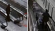 Rozjeté nákupní vozíky smetly enu na eskalátoru