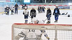 Trénink dtí. Hokejový svaz pro n nov zavádí pravidlo o zákazu hry do tla.