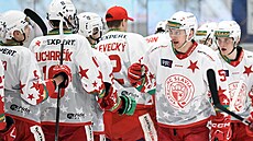 Hokejisté Slavie po vítzném zápase.