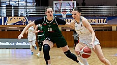 Adéla Mezihoráková z Levhartic Chomutov u mí�e v zápase s SB� Ostrava, brání ji...