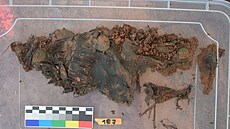 �ást textilu z pruské uniformy z 19. století, bitva u Nového Rokytníku 1866