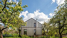 Jejich kv�t�m na�t�stí leto�ní jarní mrazy p�íli� neublí�ily.