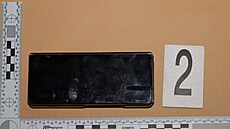 Policie odhalila podvodníky s dávkami pro ubytovatele Ukrajinc�.