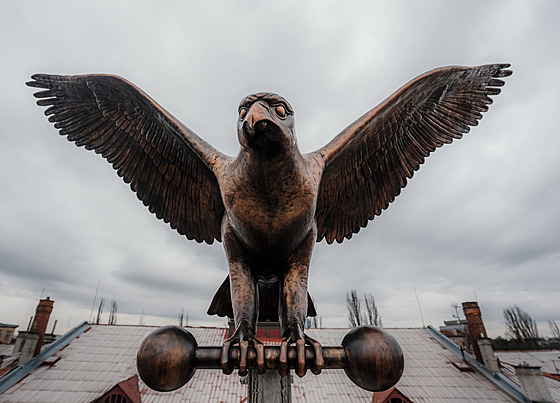 Instalace m�d�né sochy sokola na sokolovn� v pra�ských Nuslích. (11. prosince...