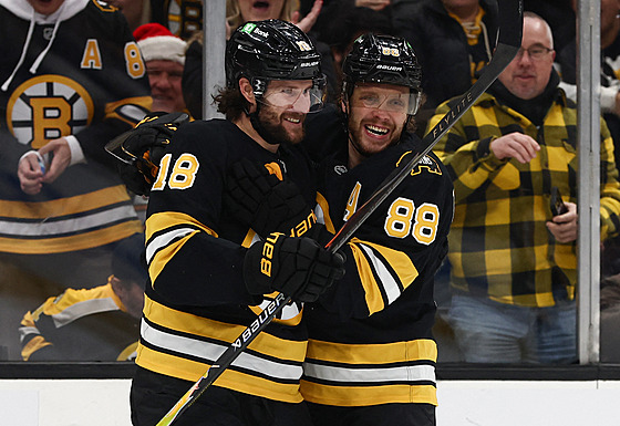 Pavel Zacha (18) a David Pastr�ák (88) slaví gól Boston Bruins.
