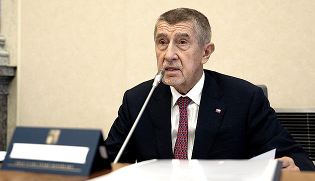 Babiš zřídí radu pro duševní zdraví, vrátit se má psychiatrička Protopopová