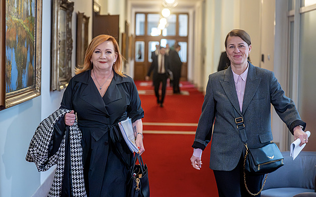 Babišova vláda požádá Sněmovnu o důvěru 13. ledna, potvrdil Okamura