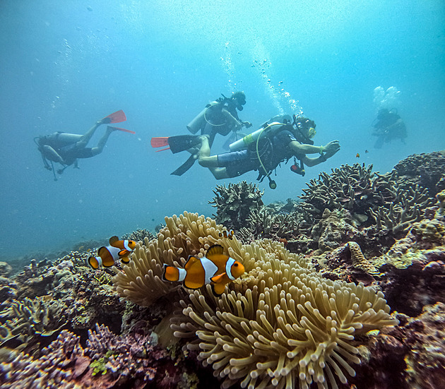 Český drsňák s talentem pro obchod loví pašeráky po světě jako jiní kachny