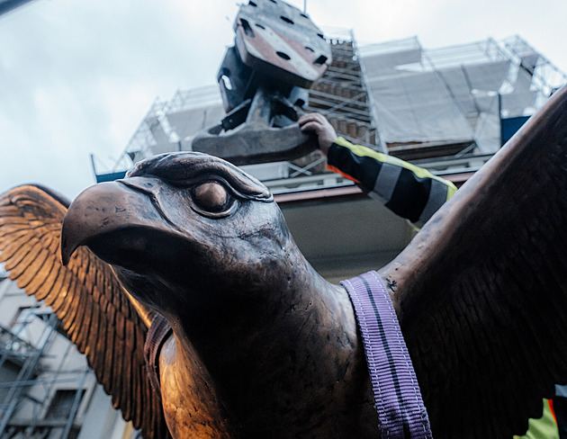 Do Nuslí se po 84 letech vrátil měděný sokol. Střežit bude tamní tělocvičnu