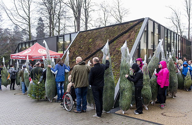 Vánoční nákupy váznou kvůli frontám. Rekordní čekací doby mají supermarkety