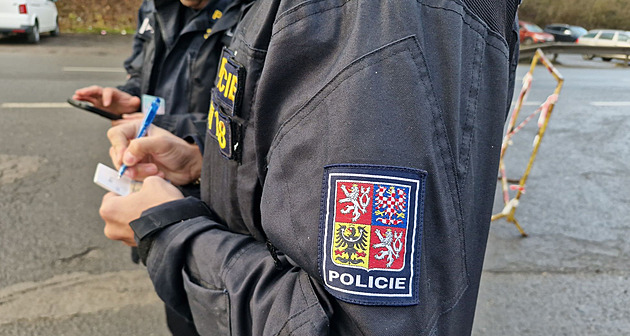 Při zátahu v tržnici jeden cizinec prchal přes plot, druhý se schoval za krabice