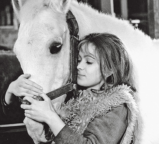 Smutný konec Juráška z Popelky. Narodil se jako hnědák, na zimní natáčení doplatil