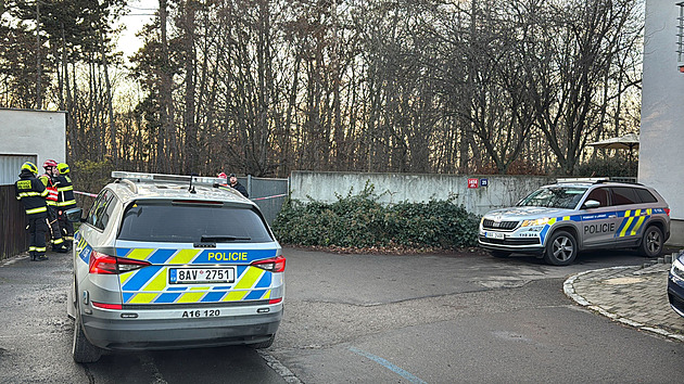 Hledač kovů našel na dětském hřišti v Praze granát