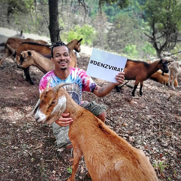 Pomoc útulkům. David Koller se připojil k osobnostem podporujícím Den zvířat