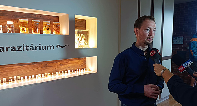 Inkoust za nkolik hodin po tetovn putuje lymfatickmi cvami a ve velkm mnostv se hromad v lymfatickch uzlinch, kde jej aktivn pohlcuj imunitn buky - makrofgy. Tyto buky, kter bn odklzej cizorod stice jako bakterie, viry i toxiny