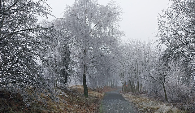 Českomoravskou vrchovinu po námraze trápí i ledovka, varuje řidiče předpověď