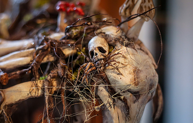 S děsivým dortem Češka uspěla v Anglii. Chtěla jsem hezký horor, ne krev a střeva, říká