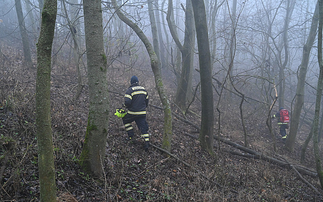 Hustá mlha a náročný terén. Pátrání po ztraceném chlapci na Zlínsku pokračuje