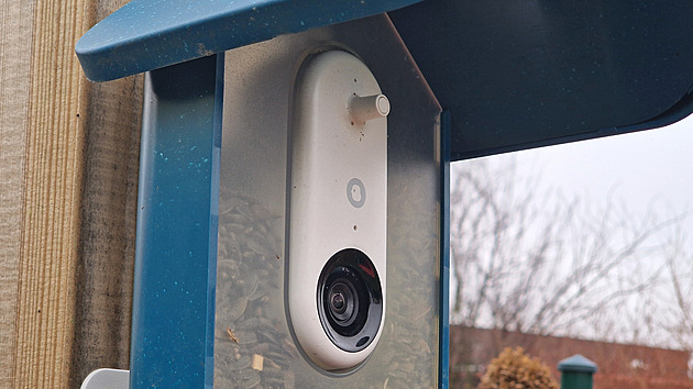 Krmítko s kamerou dá nahlédnout ptáčkům přímo do zobáčku. Skvělá podívaná