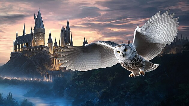 The Universe of John Williams