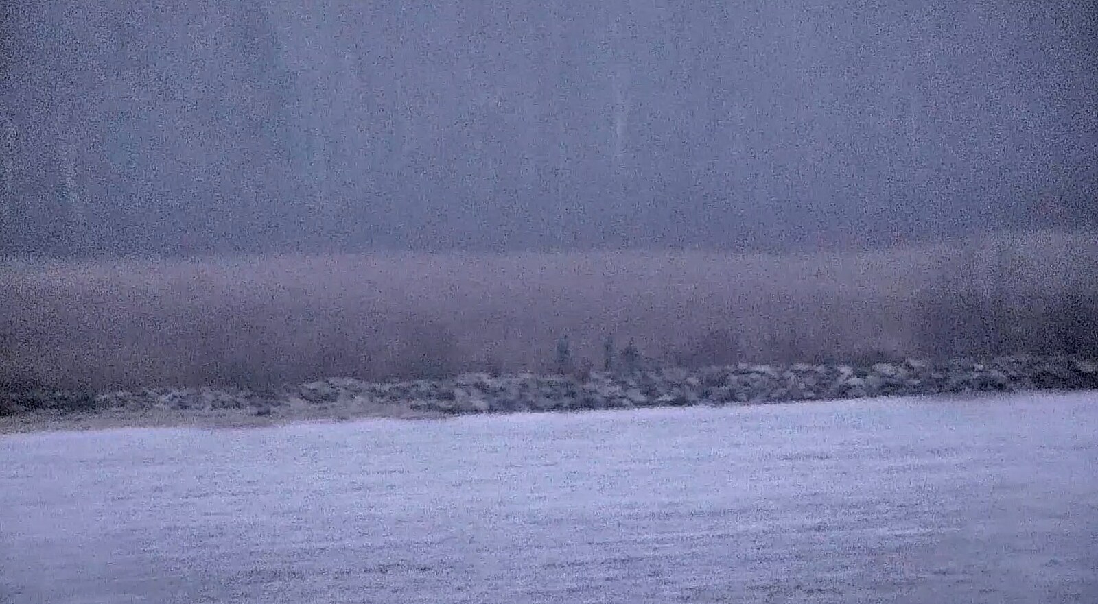 Ruští pohraničníci vstoupili na území Estonska. Dorazili ve vznášedlu