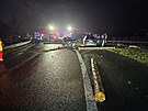 Na dlnici D56 u Paskova se srazily nkladn vz, dodvka a pt osobnch aut,...