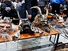 Na �eskobud�jovick�m V�stavi�ti m�li nejv�t�� show krampuslauf