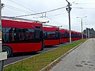�eskobud�jovick� dopravn� podnik si po��dil 21 nov�ch trolejbus�. (17. prosince...
