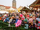 V ptek dopoledne se na nmst Pemysla Otakara II. v eskch Budjovicch...