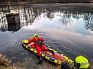 Hasi�i v Jesen�ku zachr�nili srnu ze zamrzl� vodn� plochy, odkud se nedok�zala...