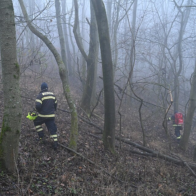 Policist� a hasi�i p�traj� po dvan�ctilet�m chlapci z Halenkovic na Zl�nsku....
