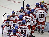 etí hokejisté po výhe nad Finskem.