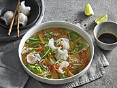 Asijsk� knedl��kov� pol�vka Image