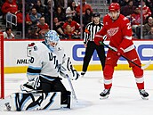 Karel Vejmelka z Utah Mammoth zasahuje v zápase s Detroit Red Wings.