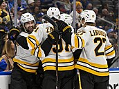 Hokejisté Boston Bruins slaví trefu proti St. Louis Blues.