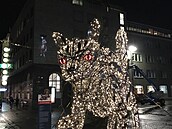 Ob�í socha ko�ky Jólakötturinn stojí v centru Reykjavíku. Je osv�tlená 6500 LED...