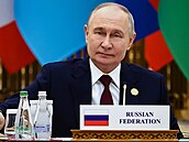 Vladimir Putin (2025)