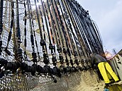 Rybá na nizozemské rybáské lodi TX-38 Branding IV pipravuje elektrické...